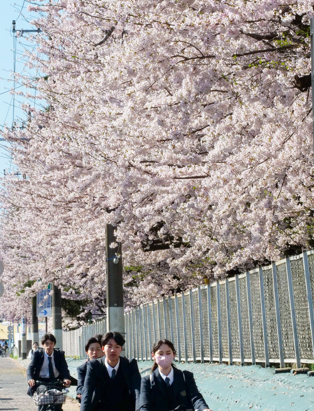 日立市立多賀中学校脇