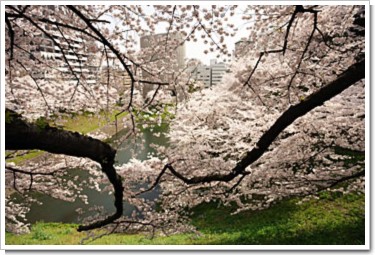 Photo by (c)Tomo.Yun