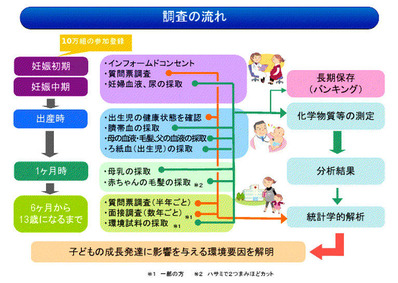 エコチル調査の概要