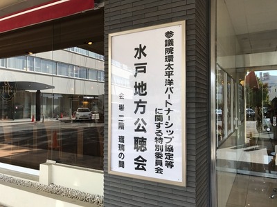 水戸での地方公聴会