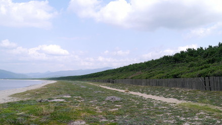 唐津市虹ノ松原