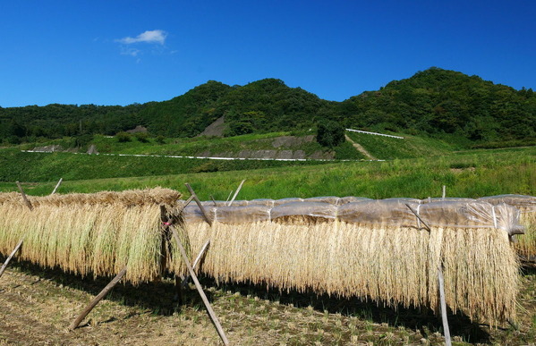 常陸太田市松平地区