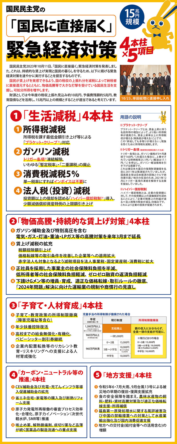 国民主党の政策