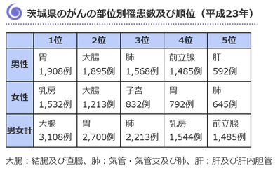 a3224abd-s.png