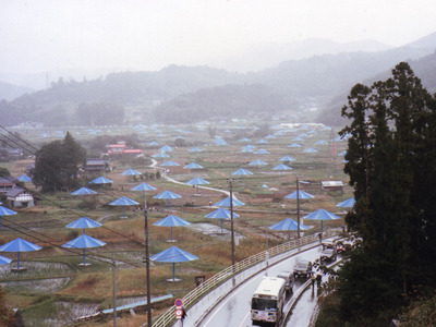 ac0d7ada-s.jpg