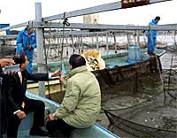 031110kasumigauara