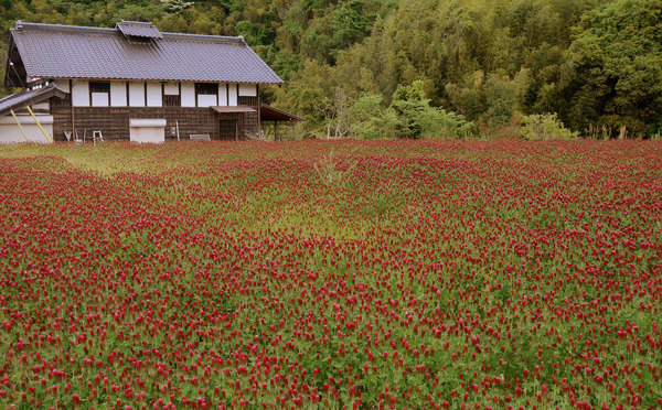 ストロベリートーチ（常陸太田市赤土町）