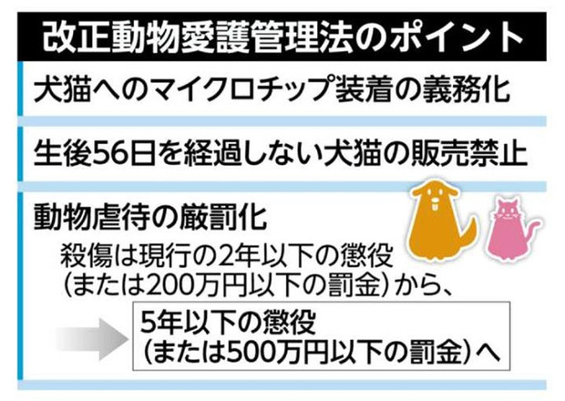 c42cdc1c-s.jpg
