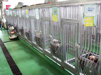茨城県動物指導センター