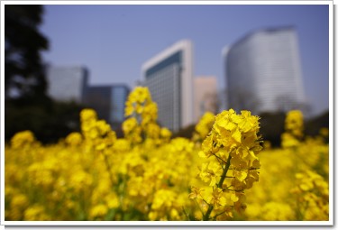 Photo by (c)Tomo.Yun (http://www.yunphoto.net)