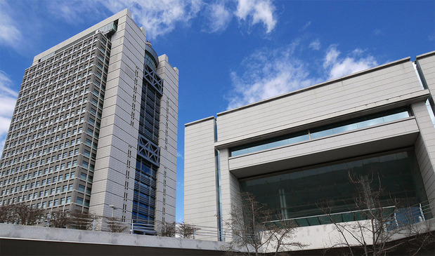 d00f6337-s.jpg