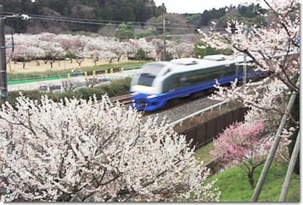 水戸偕楽園と常磐線フレッシュひたち