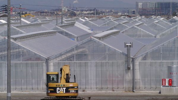 亘理町イチゴ団地