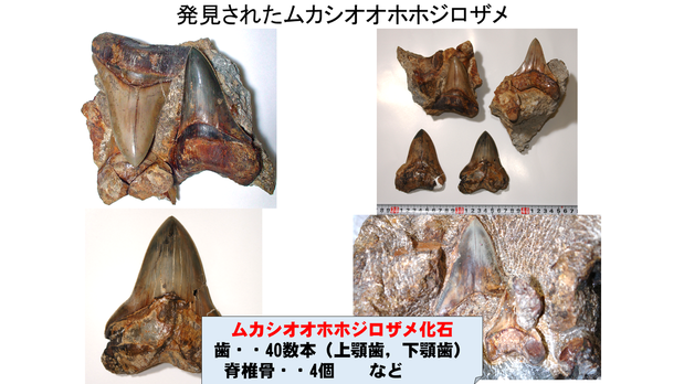 スライド35