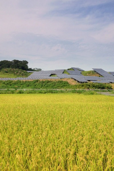 十王町初秋の風景