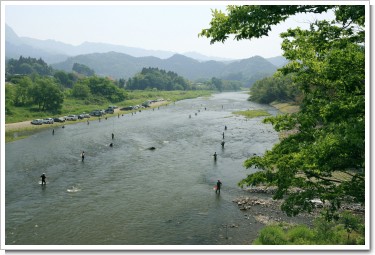 久慈川の鮎釣り（大子町）