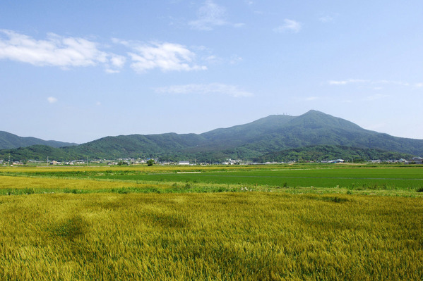 桜川市から見た筑波山
