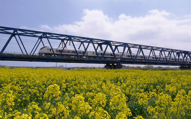 f34c5689-s.jpg