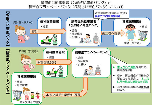 さい帯血バンク
