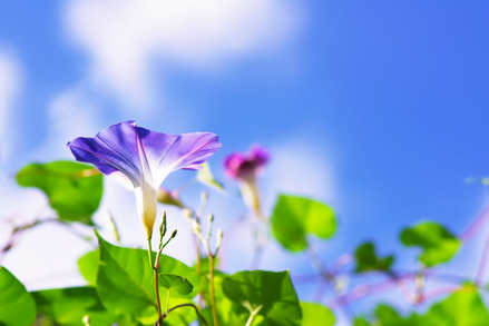 130709image