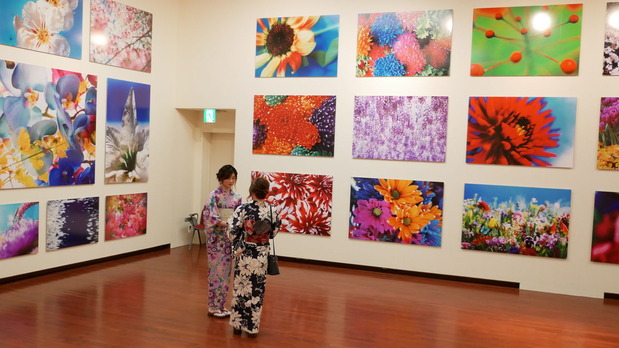 熊本現代美術館