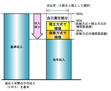 のカの収入補償制度