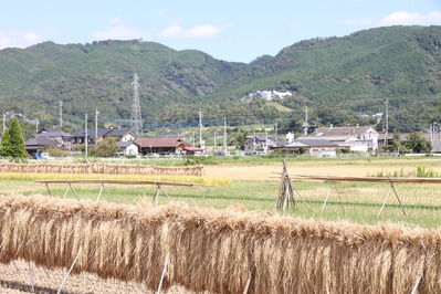 収穫のイメージ