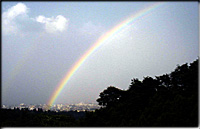 ����猩����