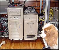 �Z�J���h�}�V�[�������x���A�b�v