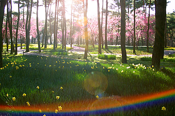 ���c�Ђ����C�l�����ŎB�e