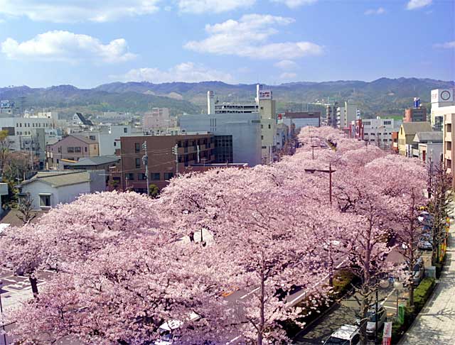 �������a�ʂ�ŎB�e