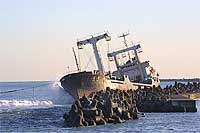 ���ʂ����`�F���\�����B���m��̃^�O�{�[�g�ŉg�q�����݂�B