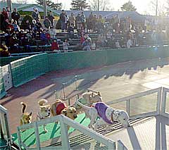 ���΂̂���񃉃��h