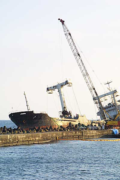 �����`����h�ō��ʂ����k���N�ݕ��D����ςׂ݉̃^�C���`�b�v��P��