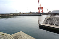 �����͌��̔g����