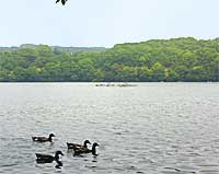 �ɓ�������Ɍ�