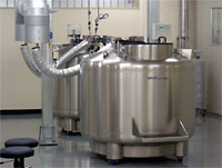 造血幹細胞を保管する液体窒素タンク