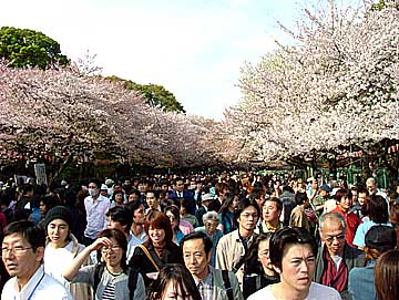 050410ueno.jpg