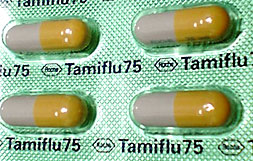 051115tamifle.jpg