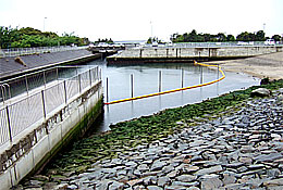 下流部に完成した減衰池