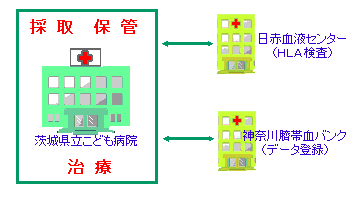 �`�ь��o���N��������