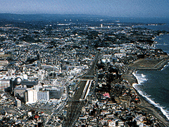 �����̍q��ʐ^