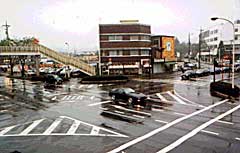 ����w����������_�̎ʐ^