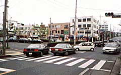 �����_�̎ʐ^