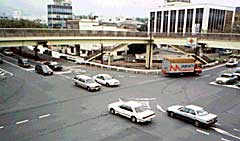 �����_�̎ʐ^